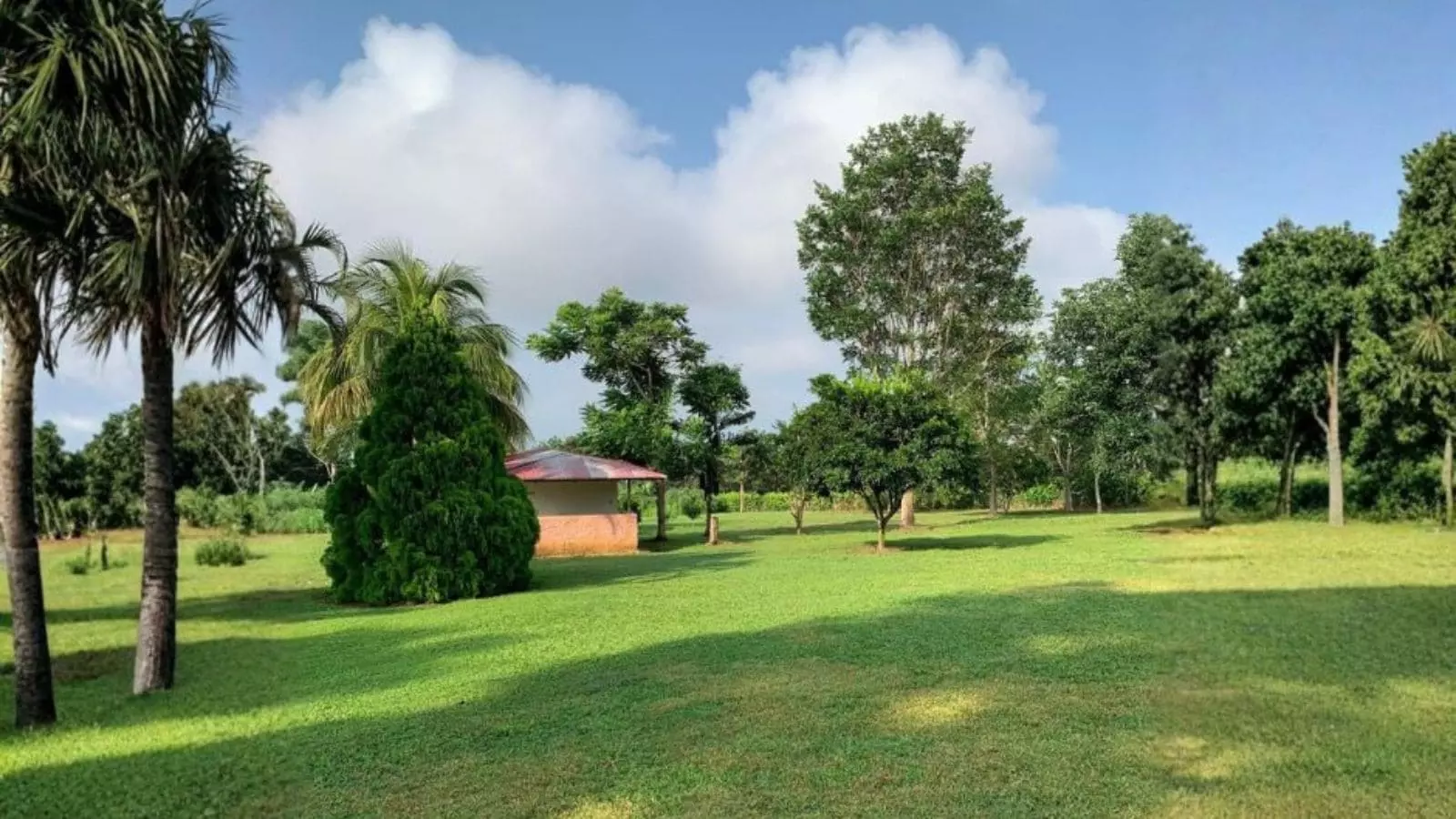 Propiedad ideal para proyecto turístico en la Interoceánica Banda de Shilcayo